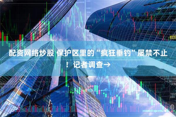配资网络炒股 保护区里的“疯狂垂钓”屡禁不止！记者调查→