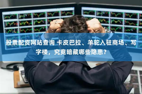 股票配资网站查询 卡皮巴拉、羊驼入驻商场、写字楼，究竟暗藏哪些隐患？