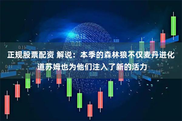 正规股票配资 解说：本季的森林狼不仅麦丹进化 道苏姆也为他们注入了新的活力